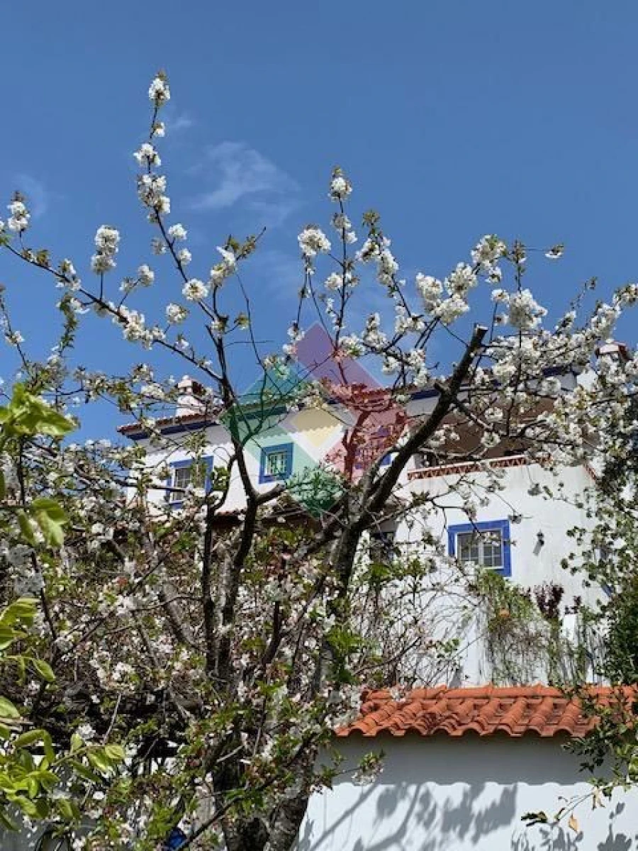 Moradia T3 para Venda em São Salvador da Aramenha Foto 7