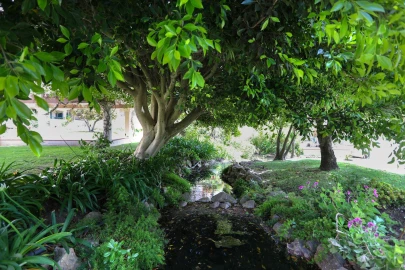 Apartamento T2 para Venda em Cascais e Estoril