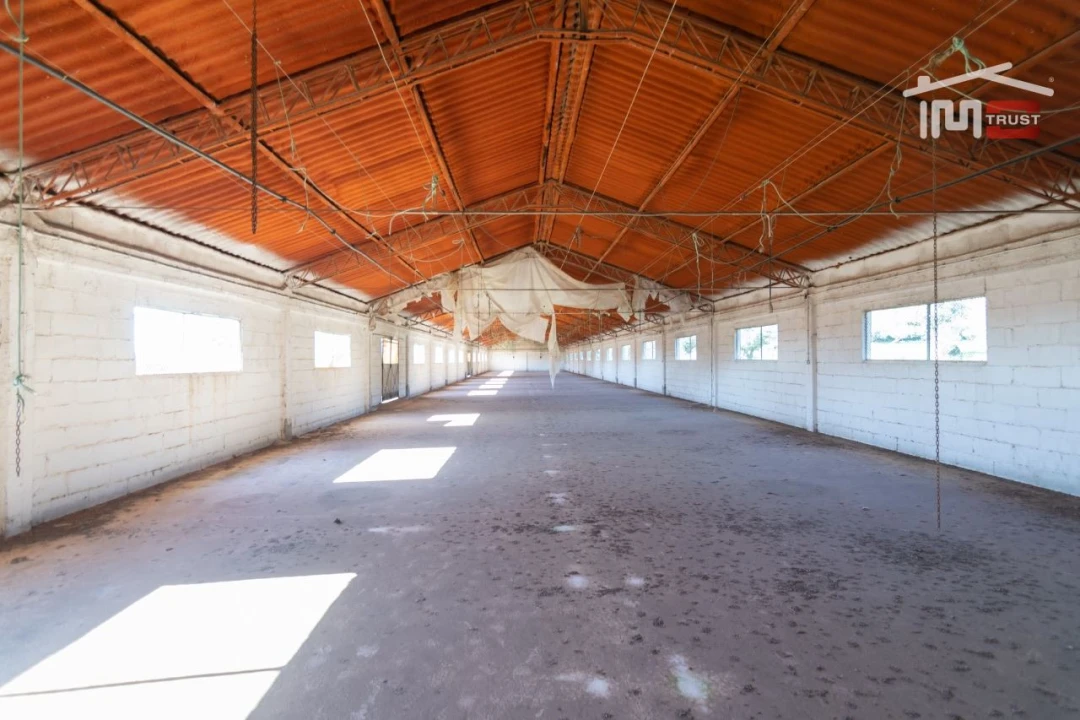 Armazém para Arrendamento em Casais e Alviobeira Foto 5