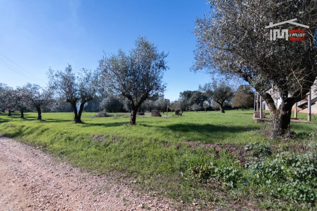 Armazém para Arrendamento em Casais e Alviobeira Foto 11