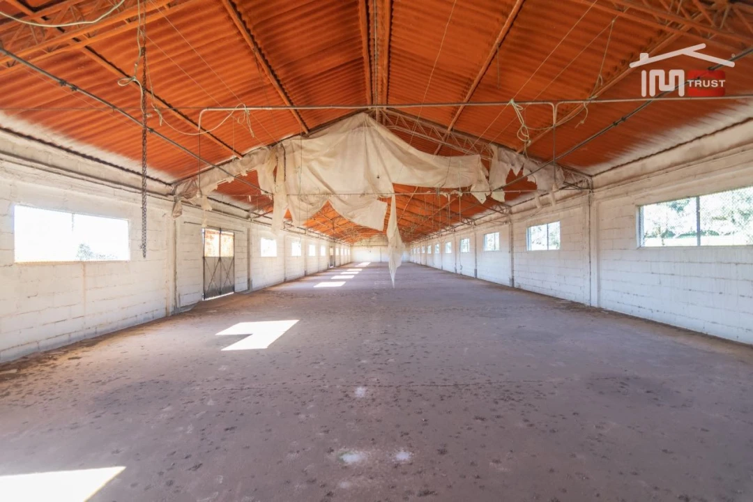 Armazém para Arrendamento em Casais e Alviobeira Foto 16