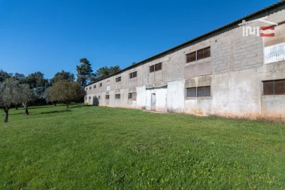 Armazém para Arrendamento em Casais e Alviobeira