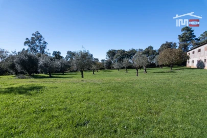 Armazém para Arrendamento em Casais e Alviobeira
