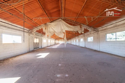 Armazém para Arrendamento em Casais e Alviobeira