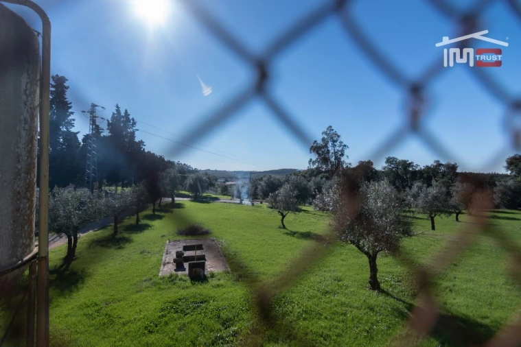 Armazém para Arrendamento em Casais e Alviobeira Foto 17