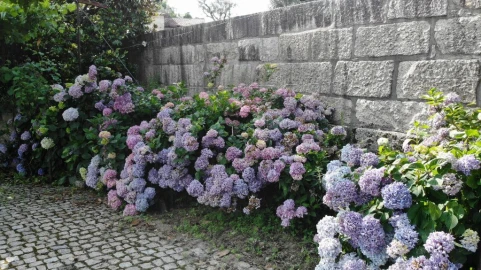 Moradia T6 para Venda em Gondar