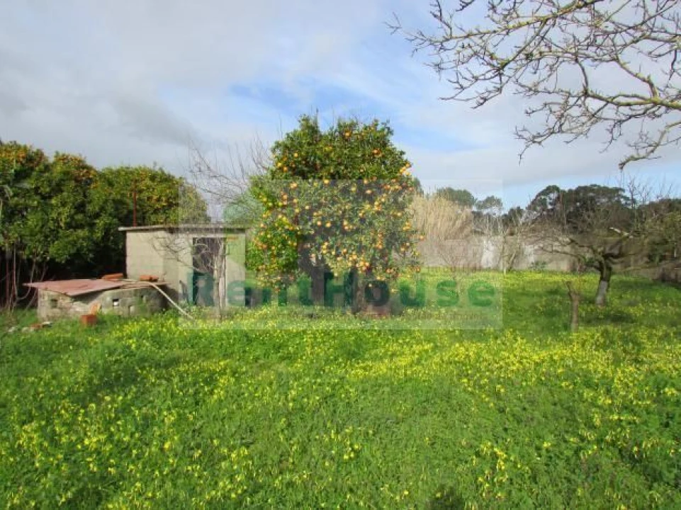 Moradia T0 para Venda em Lavos Foto 5