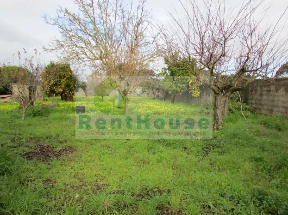 Moradia T0 para Venda em Lavos Foto 1