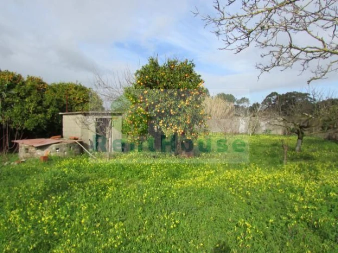 Moradia T0 para Venda em Lavos Foto 5