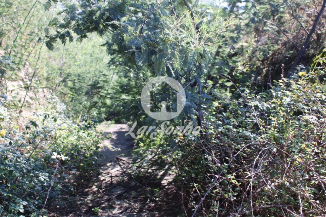 Terreno para Venda em Escariz (São Mamede) e Escariz (São Martinho) Foto 8
