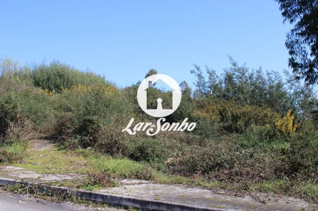 Terreno para Venda em Escariz (São Mamede) e Escariz (São Martinho) Foto 15