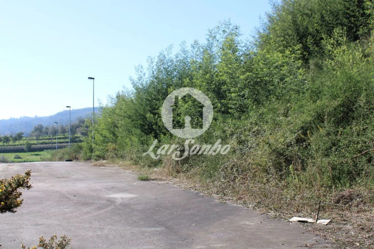Terreno para Venda em Escariz (São Mamede) e Escariz (São Martinho) Foto 9