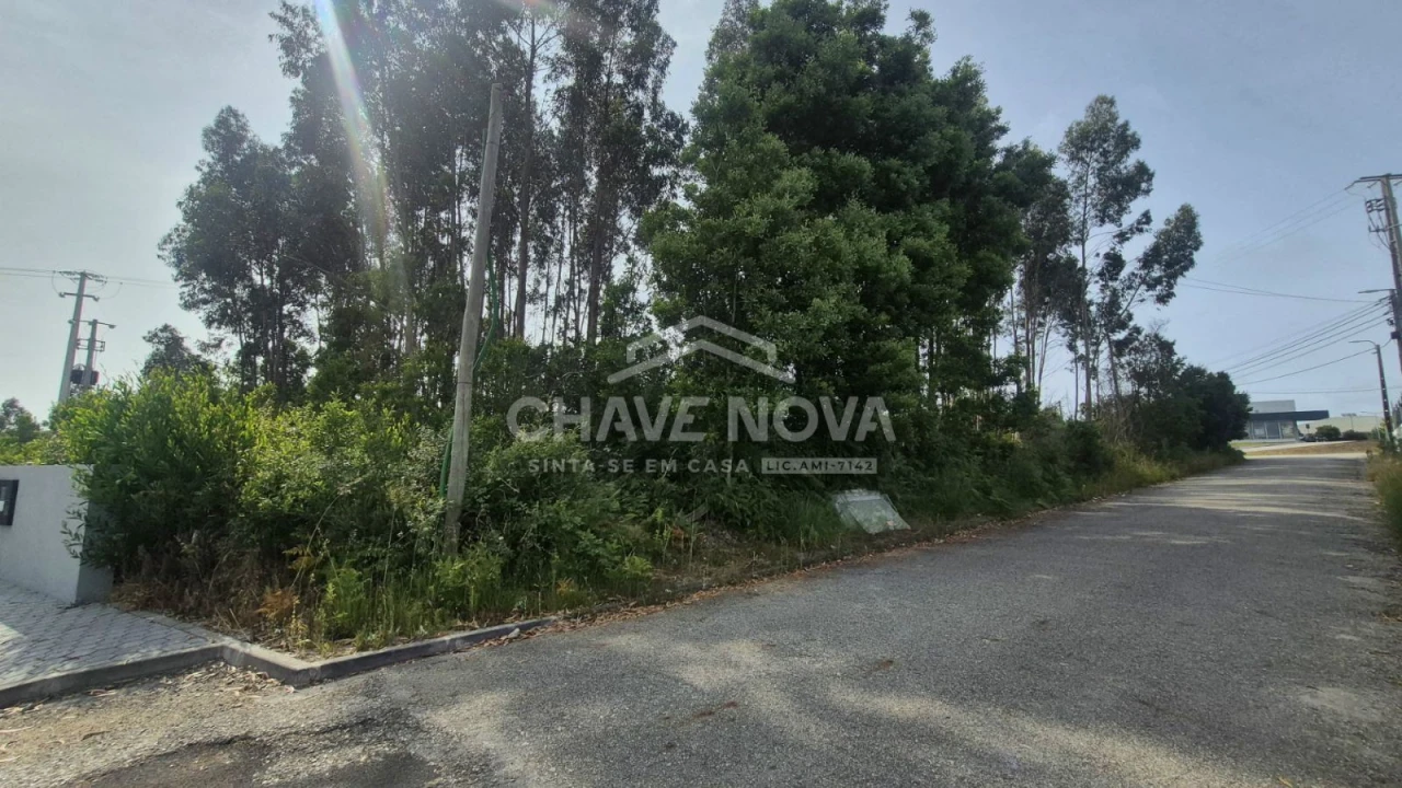 Terreno Agricola ou Rústico para Venda em Esmoriz Foto 9