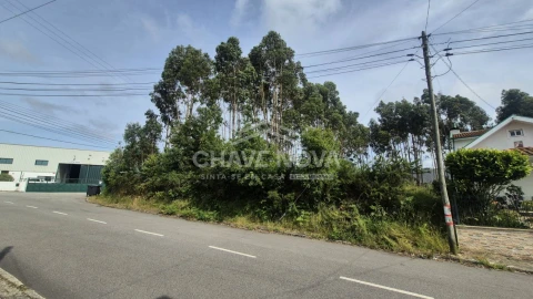 Terreno Agricola ou Rústico para Venda em Esmoriz