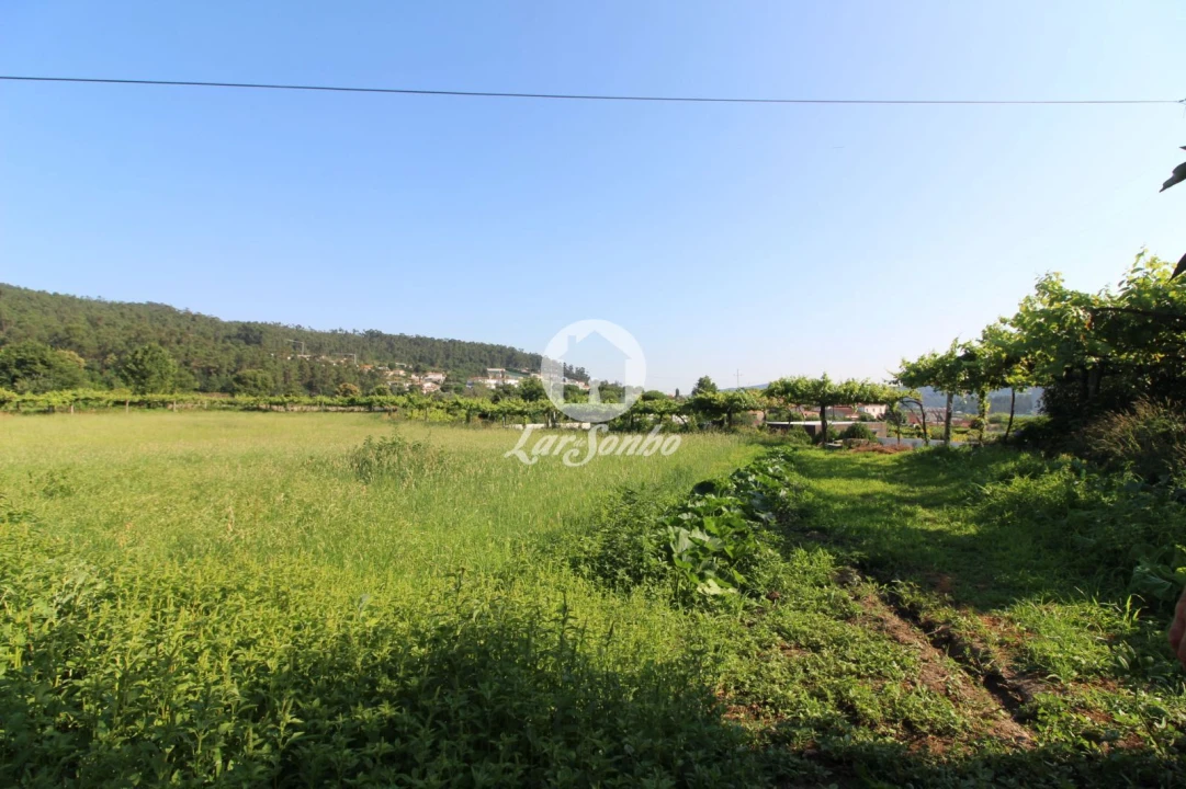 Quinta T3 para Venda em Airo Foto 20