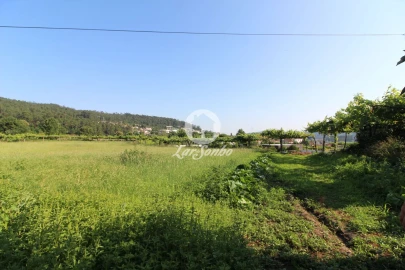 Quinta T3 para Venda em Airo