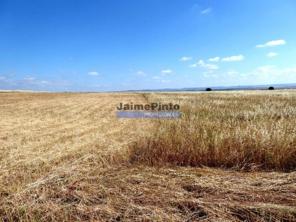 Terreno Agricola ou Rústico para Venda em Beja (Salvador e Santa Maria da Feira) Foto 2