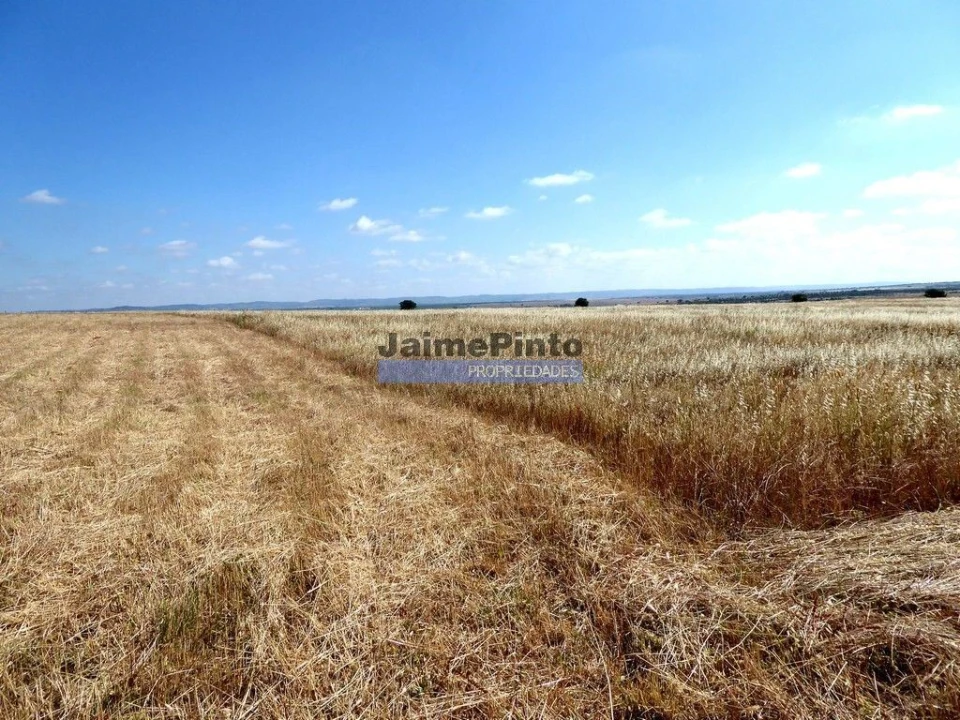 Terreno Agricola ou Rústico para Venda em Beja (Salvador e Santa Maria da Feira) Foto 4
