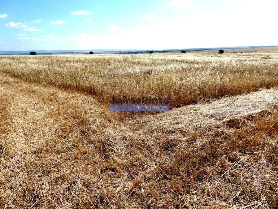 Terreno Agricola ou Rústico para Venda em Beja (Salvador e Santa Maria da Feira) Foto 6