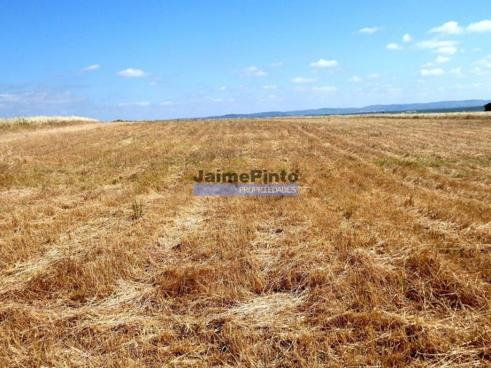 Terreno Agricola ou Rústico para Venda em Beja (Salvador e Santa Maria da Feira) Foto 7