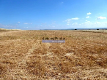 Terreno Agricola ou Rústico para Venda em Beja (Salvador e Santa Maria da Feira)