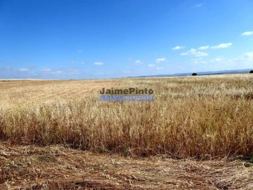 Terreno Agricola ou Rústico para Venda em Beja (Salvador e Santa Maria da Feira)