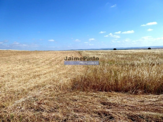 Terreno Agricola ou Rústico para Venda em Beja (Salvador e Santa Maria da Feira) Foto 2
