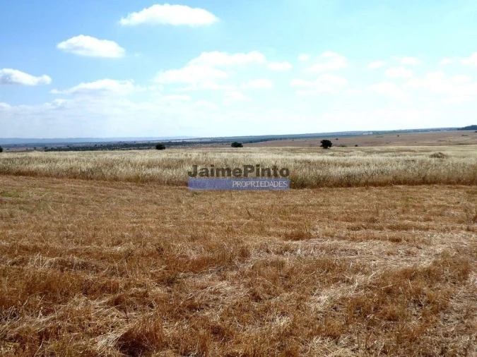 Terreno Agricola ou Rústico para Venda em Beja (Salvador e Santa Maria da Feira) Foto 3