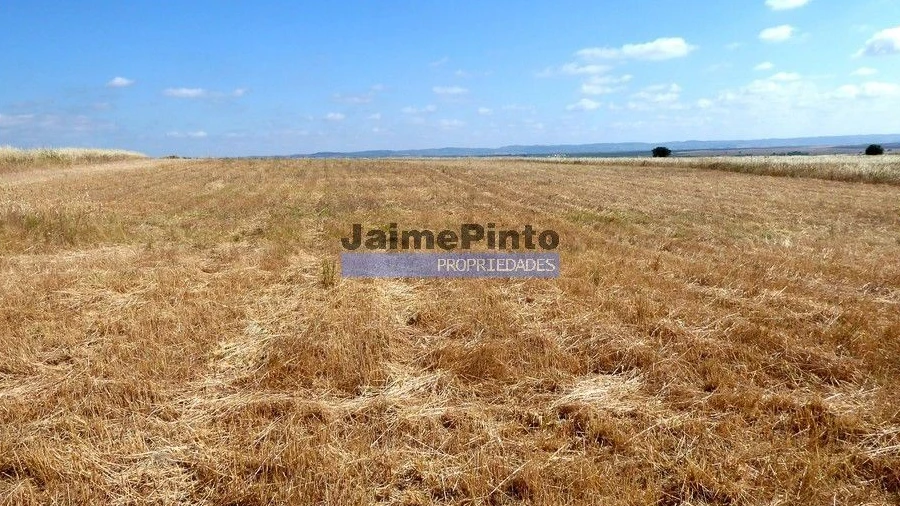 Terreno Agricola ou Rústico para Venda em Beja (Salvador e Santa Maria da Feira)