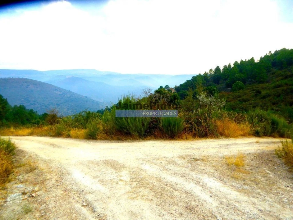 Terreno Agricola ou Rústico para Venda em Ligares Foto 7