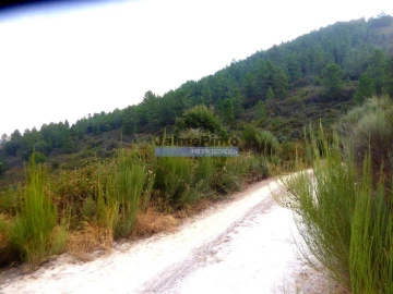 Terreno Agricola ou Rústico para Venda em Ligares