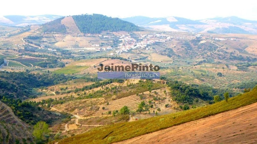 Terreno Agricola ou Rústico para Venda em Ligares