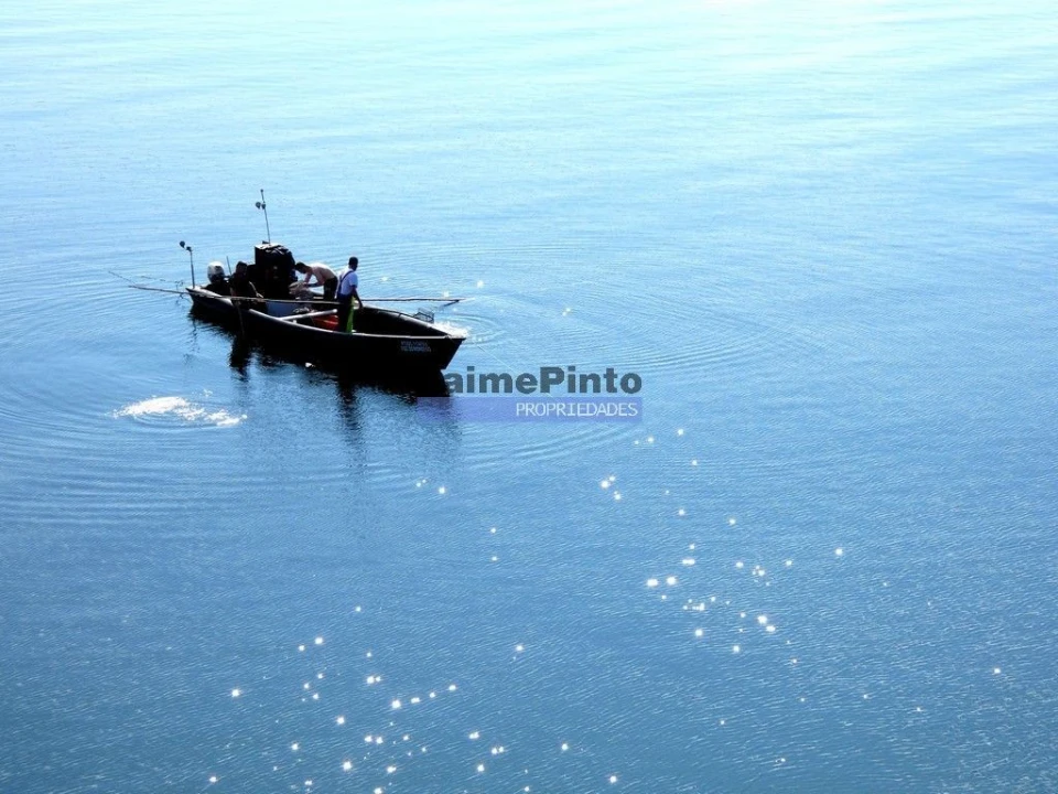 Prédio para Venda em Santa Maria Maior e Monserrate e Meadela Foto 9