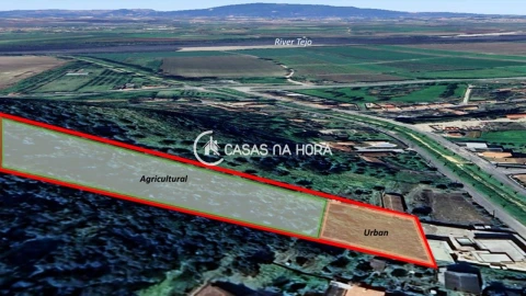 Terreno para Venda em Chamusca e Pinheiro Grande