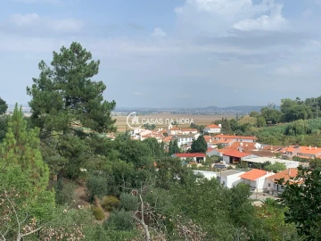 Terreno para Venda em Chamusca e Pinheiro Grande