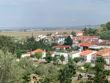 Terreno para Venda em Chamusca e Pinheiro Grande