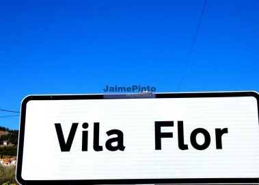 Terreno Agricola ou Rústico para Venda em Vila Flor e Nabo