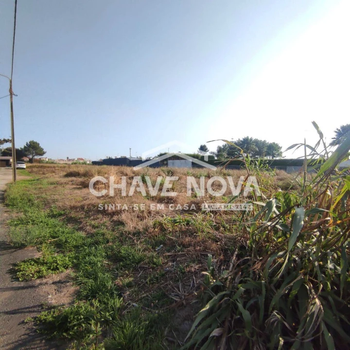 Terreno para Venda em Arcozelo Foto 6