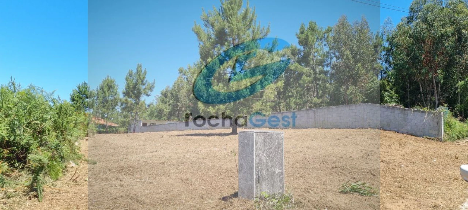 Terreno para Venda em Paramos Foto 3