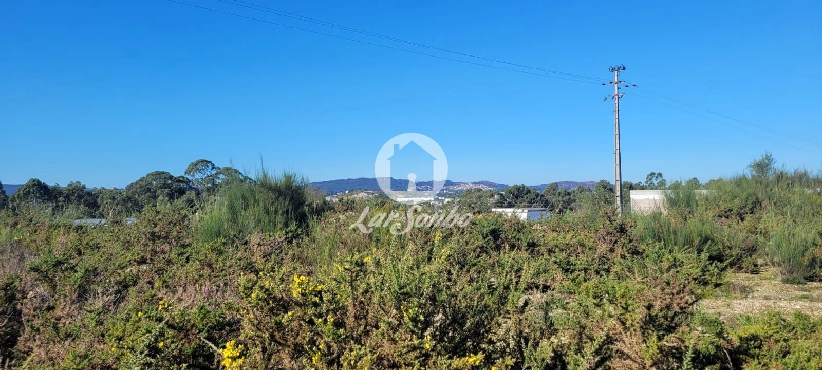 Terreno Agricola ou Rústico para Venda em Figueiras e Covas Foto 9