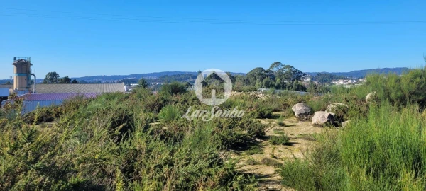 Terreno Agricola ou Rústico para Venda em Figueiras e Covas