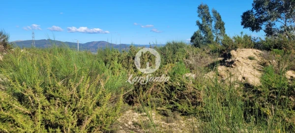 Terreno Agricola ou Rústico para Venda em Figueiras e Covas