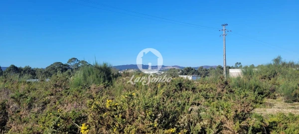 Terreno Agricola ou Rústico para Venda em Figueiras e Covas