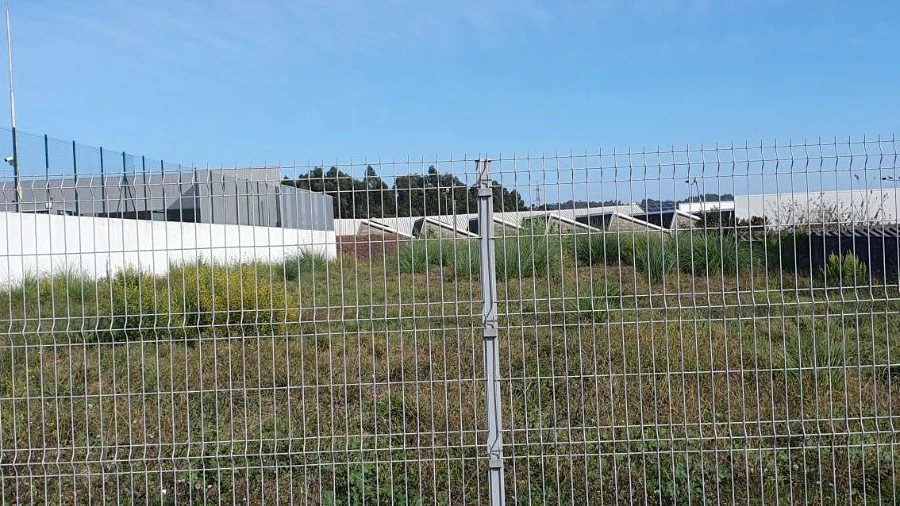 Terreno para Venda em São Pedro Fins