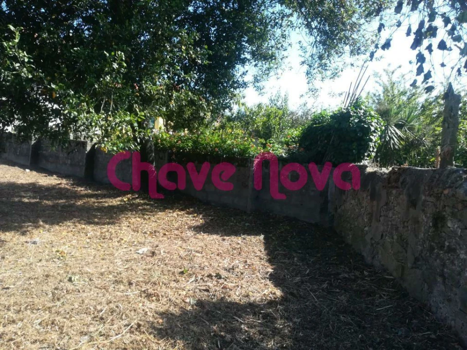 Terreno para Venda em Madalena Foto 15