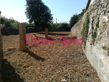 Terreno para Venda em Madalena