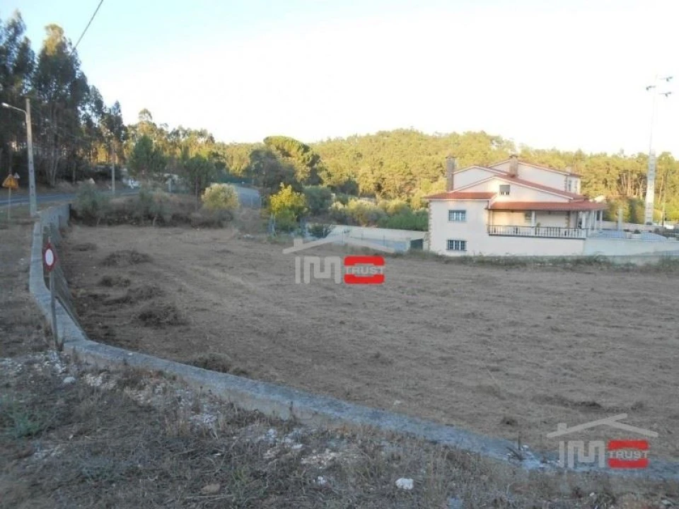 Terreno Misto para Venda em São Mamede Foto 2