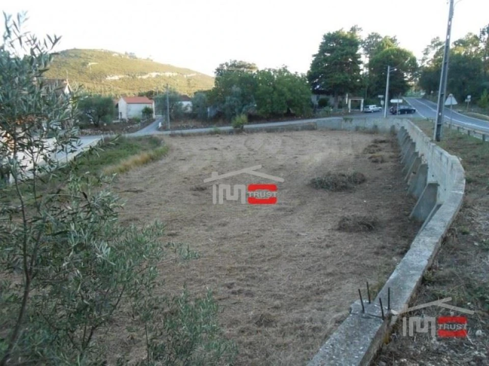 Terreno Misto para Venda em São Mamede Foto 9