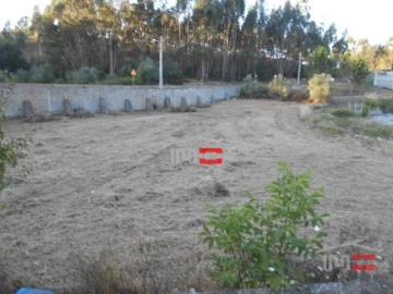 Terreno Misto para Venda em São Mamede