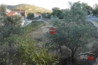 Terreno Misto para Venda em São Mamede